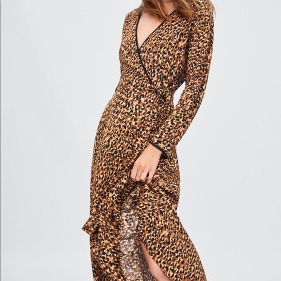 zara tiger dress